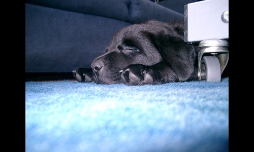 tinybella65's profile picture. 