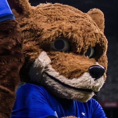 BrunoPalmirinha's profile picture. eae