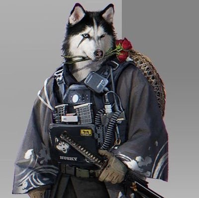 AsciiHusky's profile picture. Don't know much but I know how to 'Quit Vim'