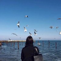 Satitought (@satitought54742) 's Twitter Profile