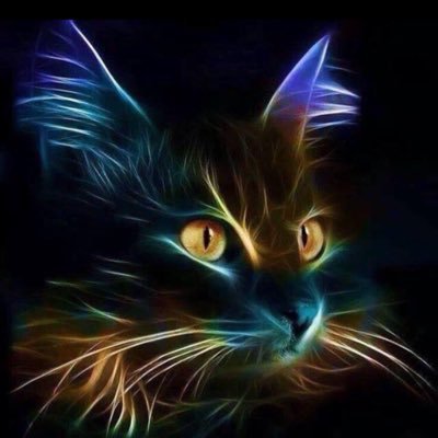 VirtualLali's profile picture. Executive PA // Reiki Master //Cat lover and Coffee lover always =^..^=