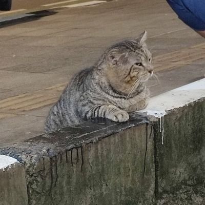 aku_larryy's profile picture. All of shit.