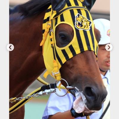 tora_uma80's profile picture. 競馬、阪神タイガース
✳近本
✳大山

虎一筋30年