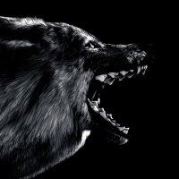 ELI THE WALKER (@etw_rmx_vp) 's Twitter Profile Photo ELI THE WALKER (@etw_rmx_vp) 's Twitter Profile Photo