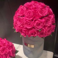 gim alward (@komila999) Twitter profile photo