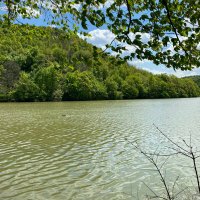 Bihemsiresesi (@bihemsiresesi) Twitter profile photo