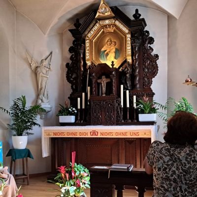 memecamomy's profile picture. Eterna aprendiz