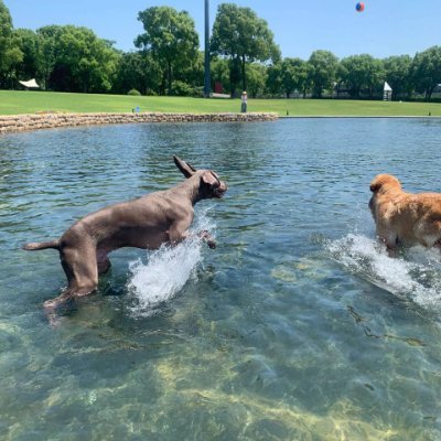 ChnnSea's profile picture. The encounter was nothing more than a favor.