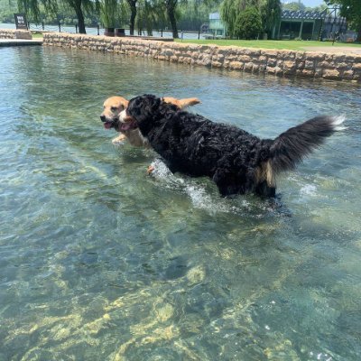 Lanwen94697753's profile picture. A small sliver of sunset fell on my hand.