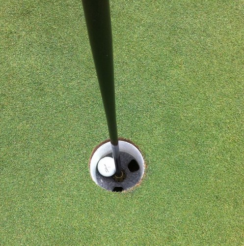 machineian's profile picture. 