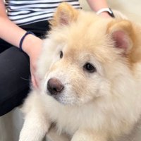 Fay (@buccibij) 's Twitter Profile