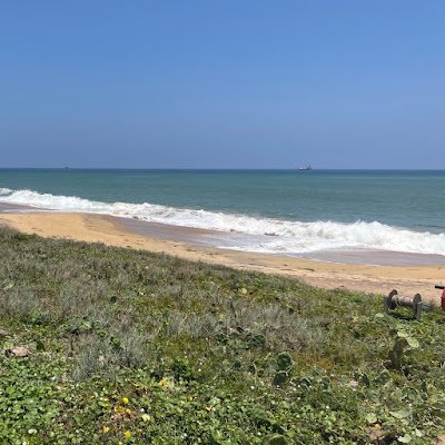 AlimPhenom49056's profile picture. 🇱🇰