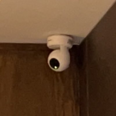 kxbql's profile picture. 。