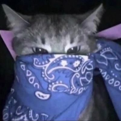 junkyMURER's profile picture. hola juan carlos como esta chupapika