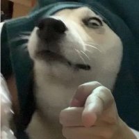 丶丶Gaviii (@g1247w) Twitter profile photo