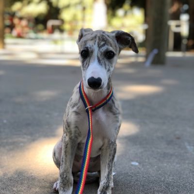 fawwest's profile picture. 