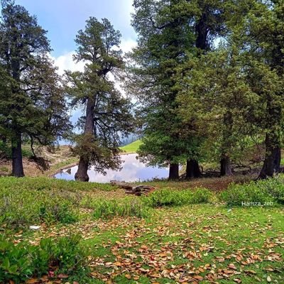 Zeeshan46782982's profile picture. 