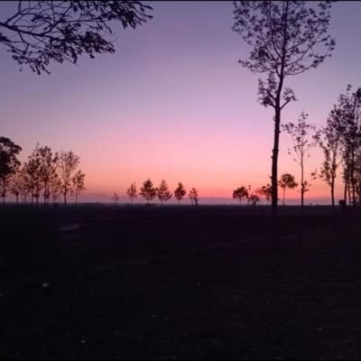 Brian_Mu3's profile picture. eat, sleep, conquer..repeat ⚡