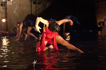 michijon's profile picture. Dance, Pilates, Yoga