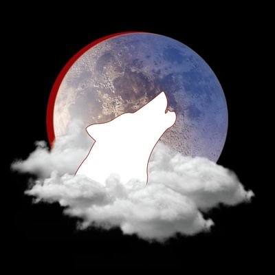 ajwhitewolf Profile Picture