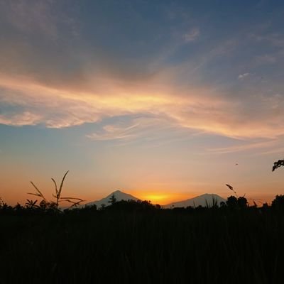 jiyem04's profile picture. Sujianto Lampung Timur 04