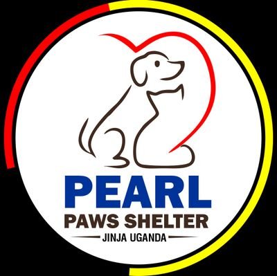 To provide care for homeless dogs and cats until they can be placed in permanent, responsible homes while promoting humane values in our community.