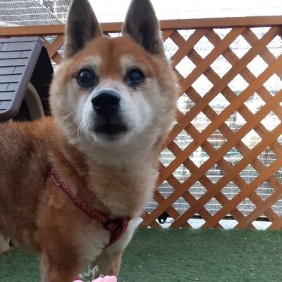 maje172's profile picture. 