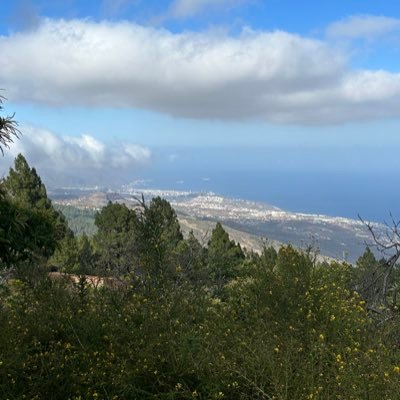 silebet's profile picture. Solo está derrotado aquel que deja de soñar!!! 
Dreams come true