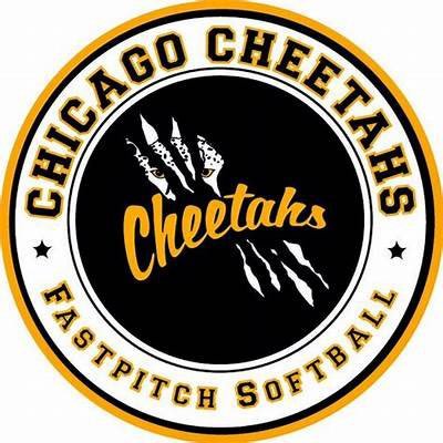 We are the 14u Cheetahs out of Bensenville, IL