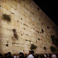 ירושלים שלי (@myjerusalem) 's Twitter Profile