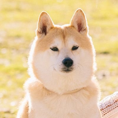 AndreaSolbas's profile picture. Barcelona🐯