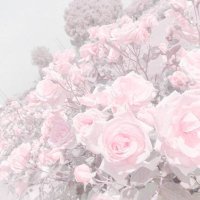 null (@null_ast) 's Twitter Profile