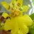PlantingArt's profile image