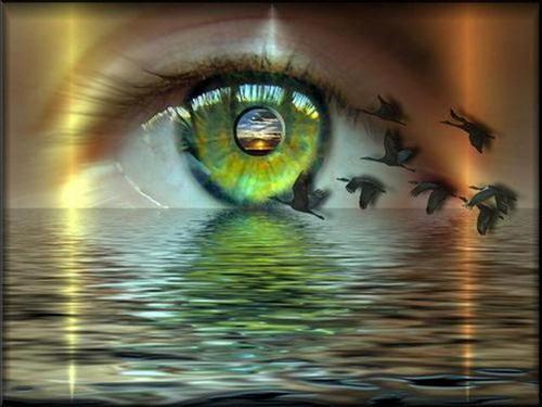 conecta2prosper's profile picture. Infoproductos, trafico web, Bolsa de Ny, Networmaketing, Bienes  
Raices, Negocios por internet, Multiples fuentes de ingreso preguntame   
 como #GanarDinero.