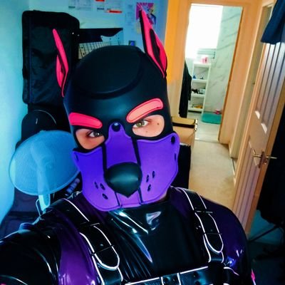 23 🎉
Furry and Pup 🐶 
Big ol' foot fetish 👣 
Boyfriend to the gorgeous @Ren_Pup 💜❤️
Alpha to @pupleko ⛓️🐶

Guildford/Crawley Based and
DMs Open!