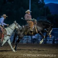 Prepo (@prepophillips) 's Twitter Profile