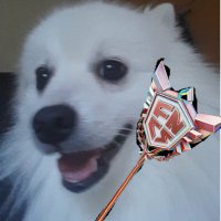 Geme (@gemefnbr) 's Twitter Profile