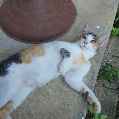 baramvi's profile picture. 