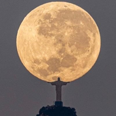 LauraWi52292105's profile picture. 