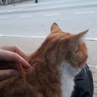 Özlem (@0zlemdgan) Twitter profile photo