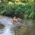 Duds (@dudsofoxon) Twitter profile photo Duds (@dudsofoxon) Twitter profile photo