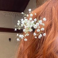 natiruts ambulante (@m_c8h11no2) 's Twitter Profile