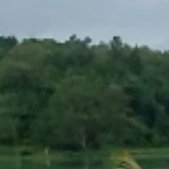 sfilter707's profile picture. KWHC3ZM7