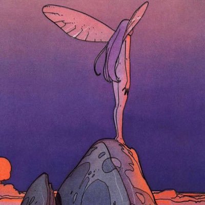 aqua____regia's profile picture. 