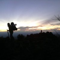 Kyle Amato (@emergentbeing) 's Twitter Profile