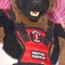 Spicy Service Dog 🐕🦺 (@spicyservicedog) Twitter profile photo Spicy Service Dog 🐕🦺 (@spicyservicedog) Twitter profile photo