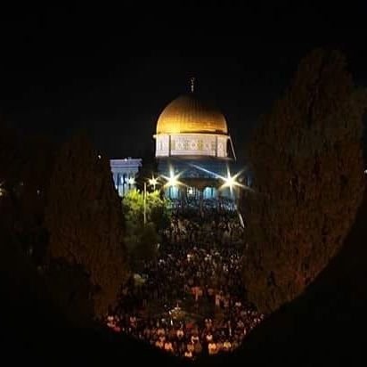 MOSTEFE2012's profile picture. .