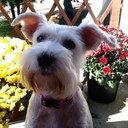 Fran Ramsey - @framsey84 - Twitter