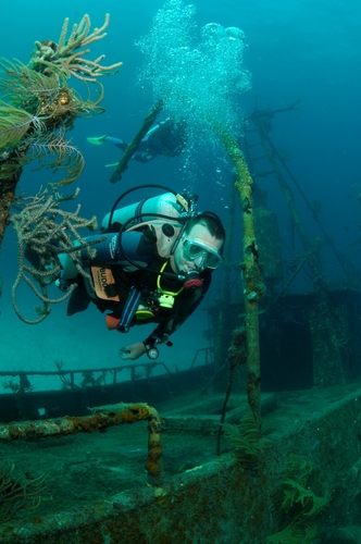 DivetheBahamas's profile picture. Dive The Islands Of The Bahamas. Reefs, Wrecks, Walls, Sharks, Dolphins.... Thousands of dive sites only minutes from Florida. Voted #1 for BIG ANIMALS!