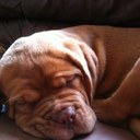 Ian Kay Randall - @RandallCo - Twitter